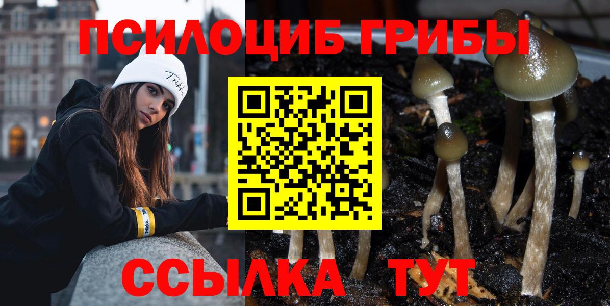 Воткинск  Галлюциногенные грибы Psilocybe  Вход с VPN  Галлюциногенные грибы Cubensis 